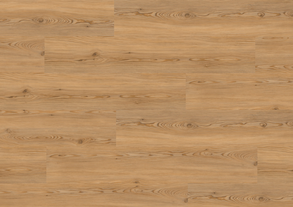 VINIL POD LARCH OTTAWA - Slika 3