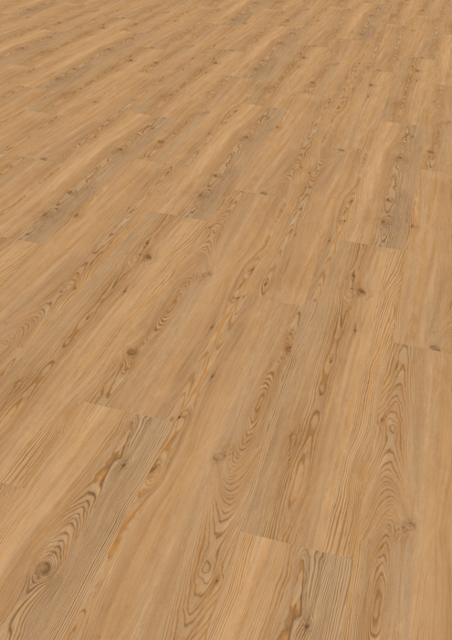 VINIL POD LARCH OTTAWA - Slika 4